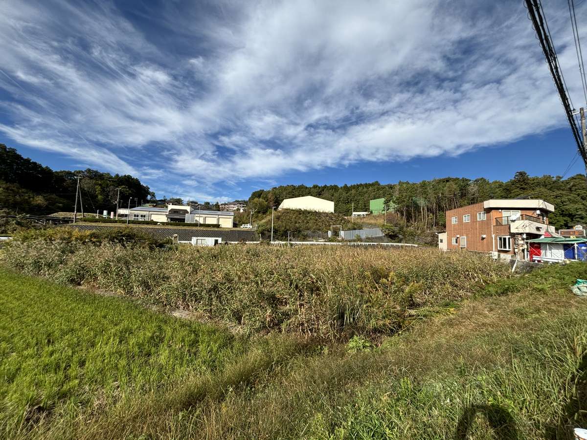 除草前の耕作放棄地